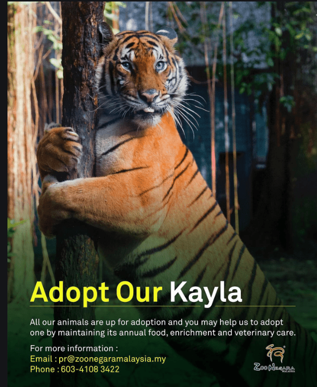 This image has an empty alt attribute; its file name is image.png